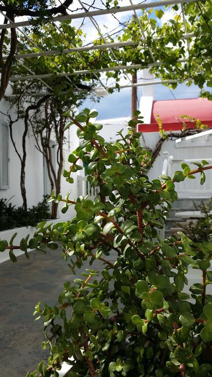 Christina Studios Mykonos Town ภายนอก รูปภาพ